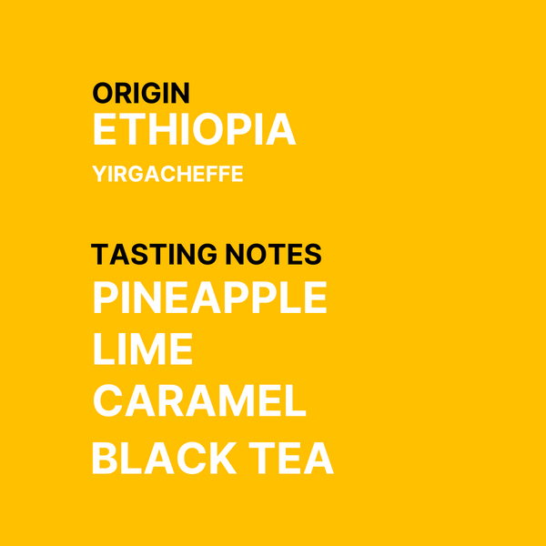 Magarrisa Halo #1 - Ethiopian Single Origin Speciality Coffee - Tasting notes