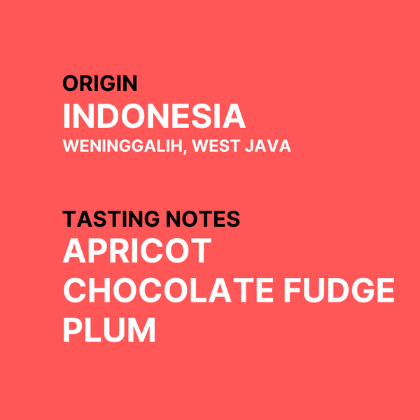 Frinsa Sarapan #2 - Indonesian Single Origin Speciality Coffee - Tasting note