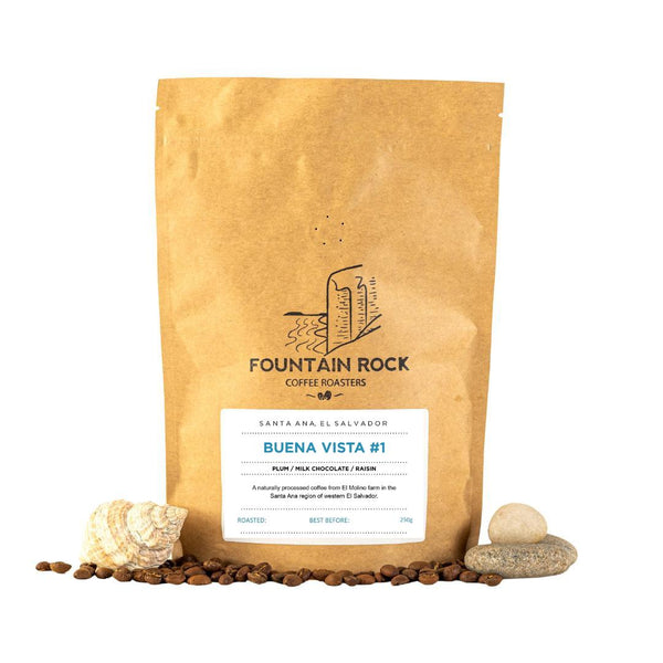 A stand-up kraft paper coffee bag labeled Fountain Rock Coffee Roasters Buena Vista #1, photographed on a white background with coffee beans and small stones arranged at the base.