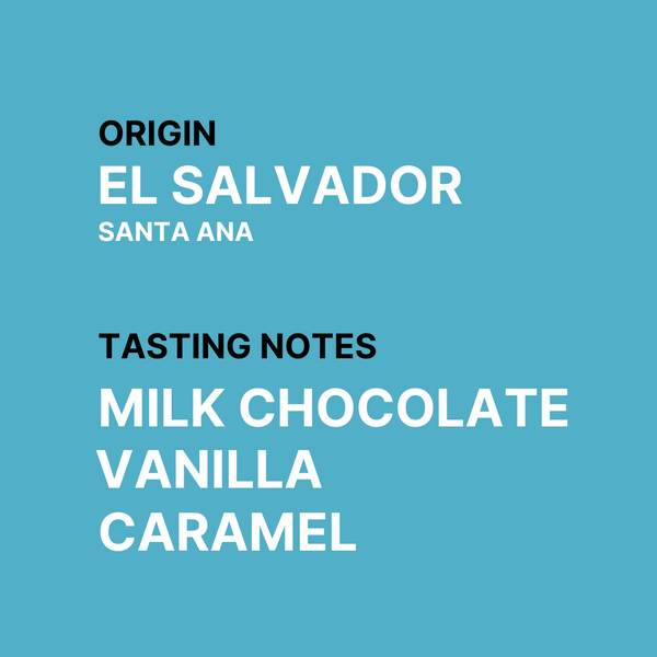 San Felipe Speciality Coffee Tasting Notes