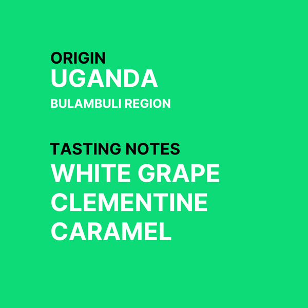 Zinule #1 Ugandan Speciality Coffee Tasting Notes